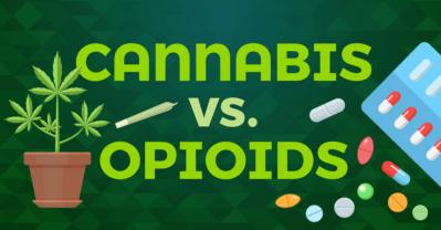 Medical Cannabis vs Opioids for Chronic Pain