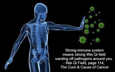 Strong immune system means strong Wei Qi field warding off pathogens around you